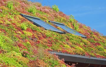 Thornton In Craven living roof systems