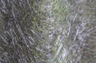 Thornton In Craven fibreglass roof work